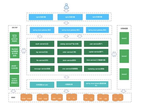 多租戶架構下的若依Cloud數據處理服務與CSDN實踐
